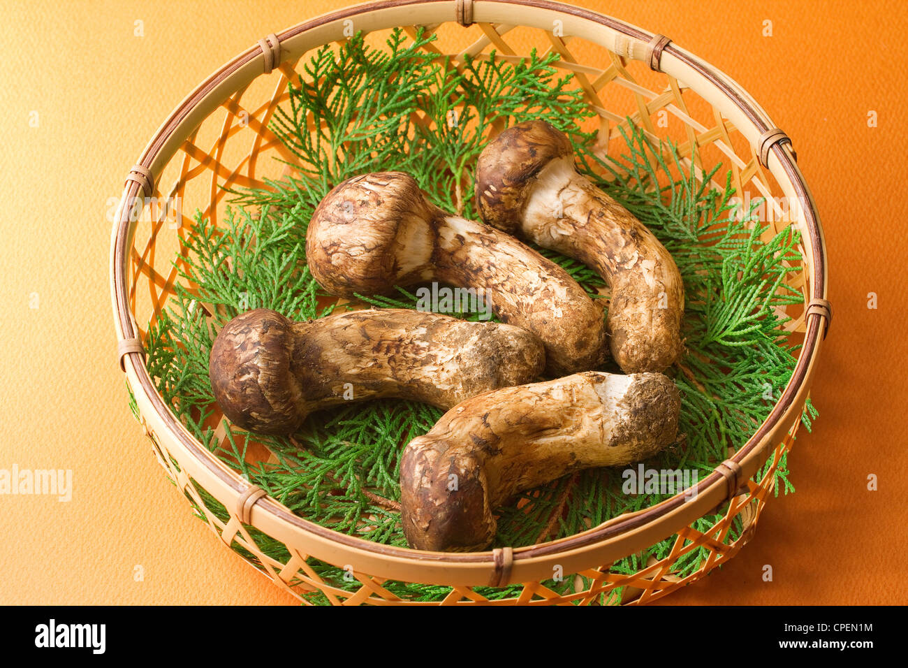 I funghi nel cestello Foto Stock