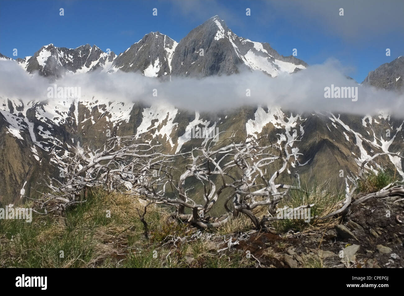 Vista del Monte Valier dall'est vicino Col de Pausa, Ariège, Midi-Pirenei, Francia. Foto Stock