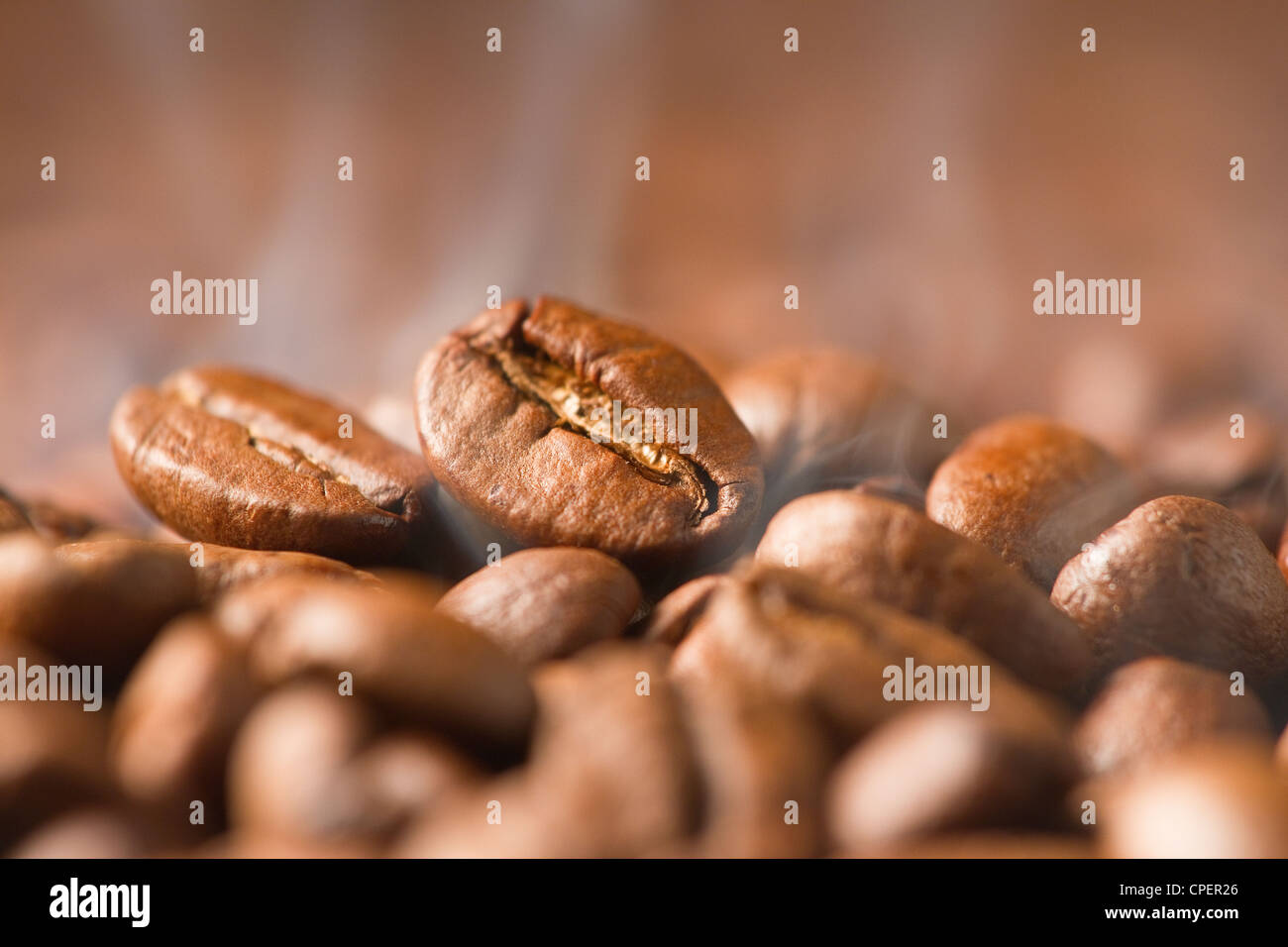 Chicco di caffè Foto Stock