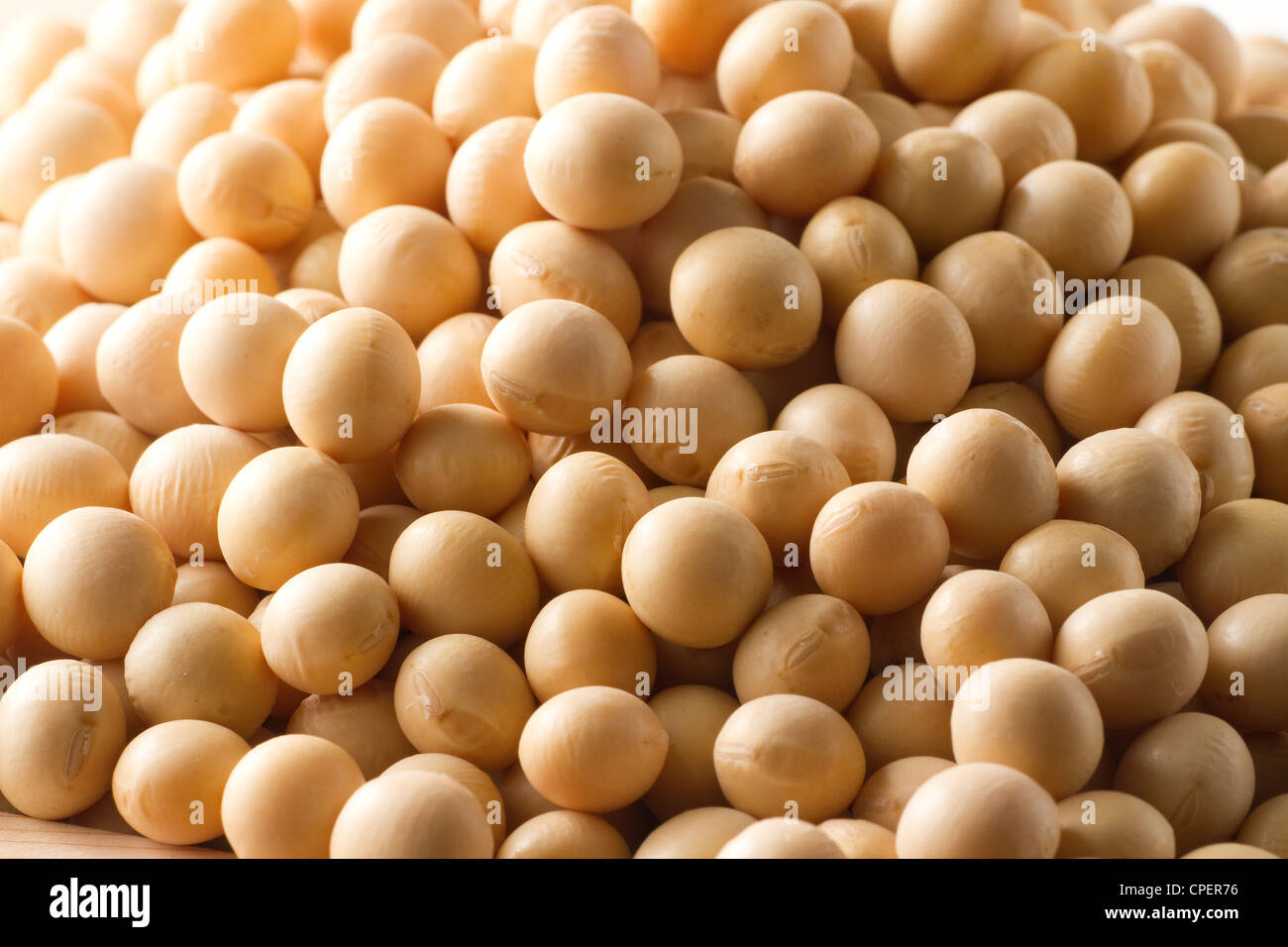 Telaio completo di fagioli di soia Foto Stock
