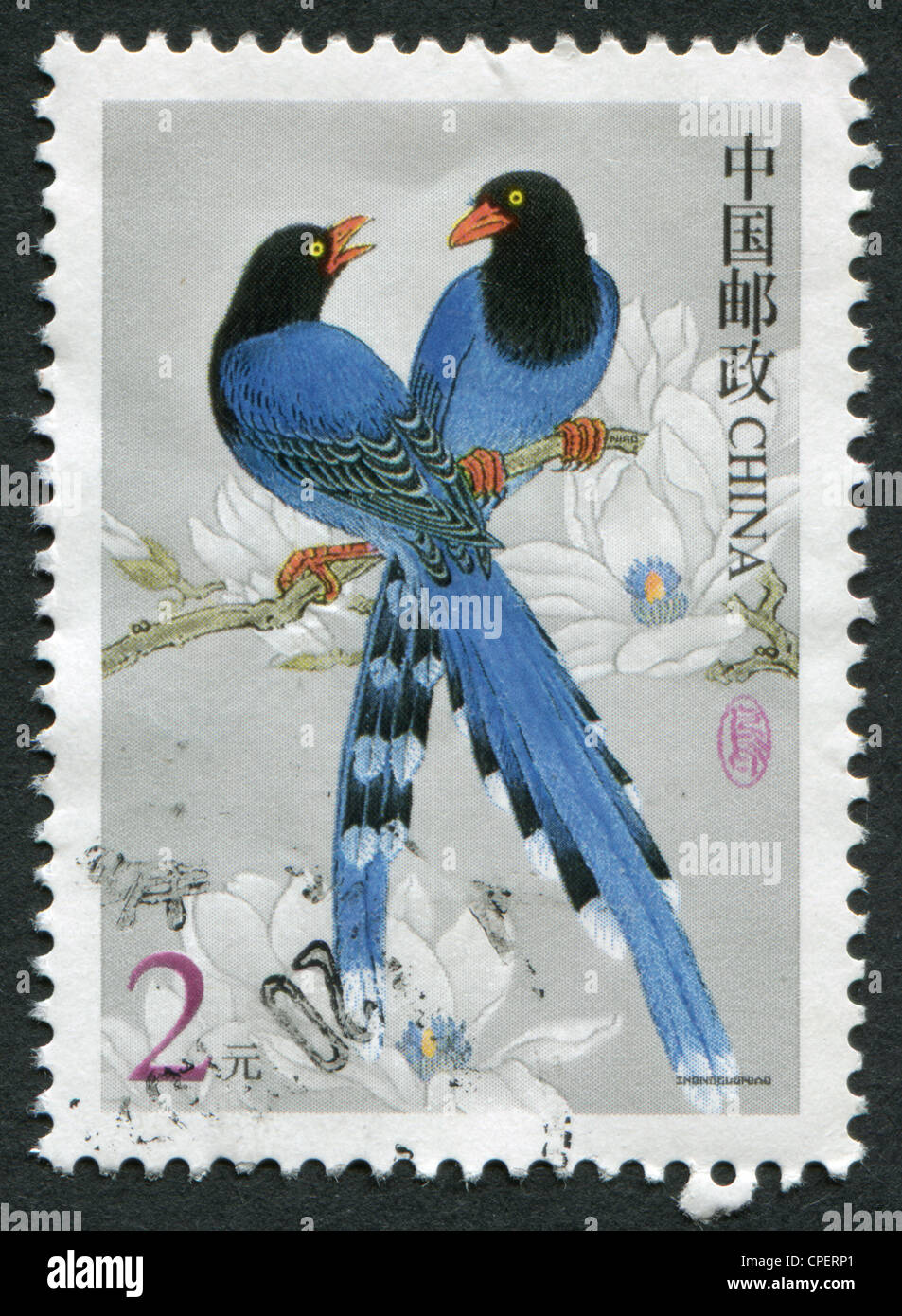 Repubblica POPOLARE DI CINA - Circa 2002: un timbro stampato in Cina, mostra un uccello Urocissa caerulea, circa 2002 Foto Stock