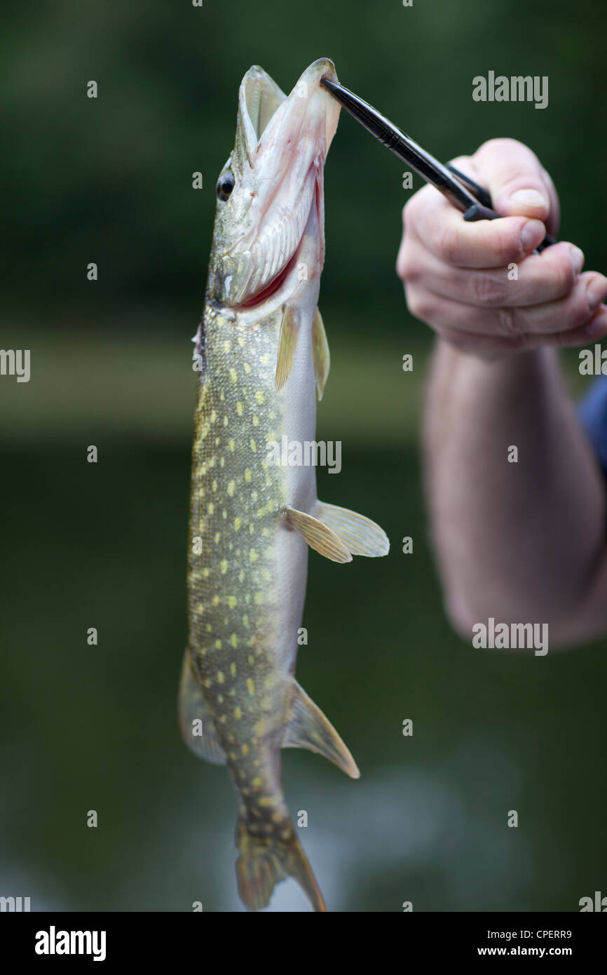 La pesca in lago di Finlandia Foto Stock