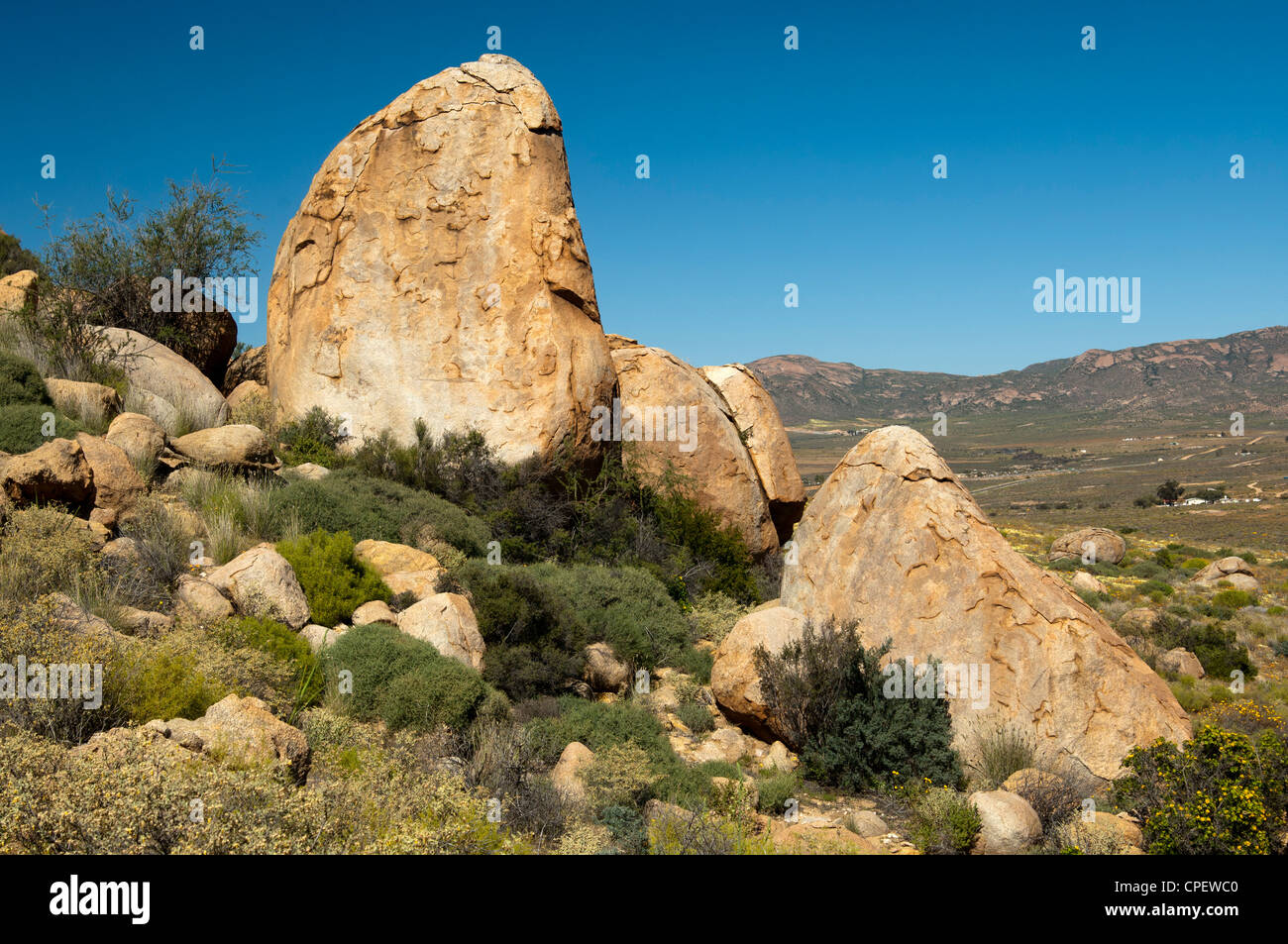 Weathered massi di granito in semi-deserto paesaggio di Namaqualand, Springbok, nel nord della provincia del Capo, in Sud Africa Foto Stock