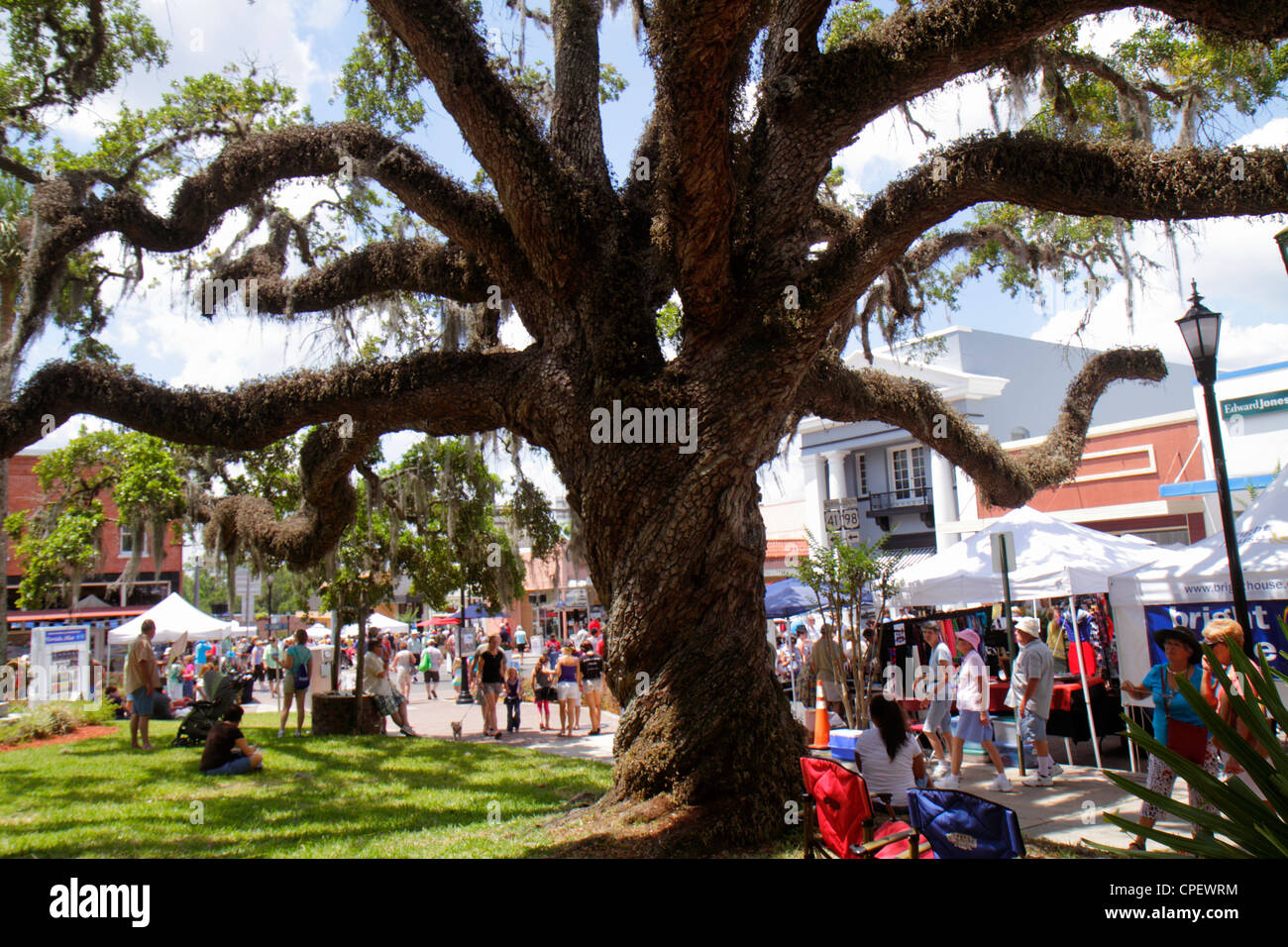 Florida Hernando County, Brooksville, Florida Blueberry Festival, evento, Main Street, quercia dal vivo, muschio spagnolo, i visitatori di viaggio turismo turistico Foto Stock