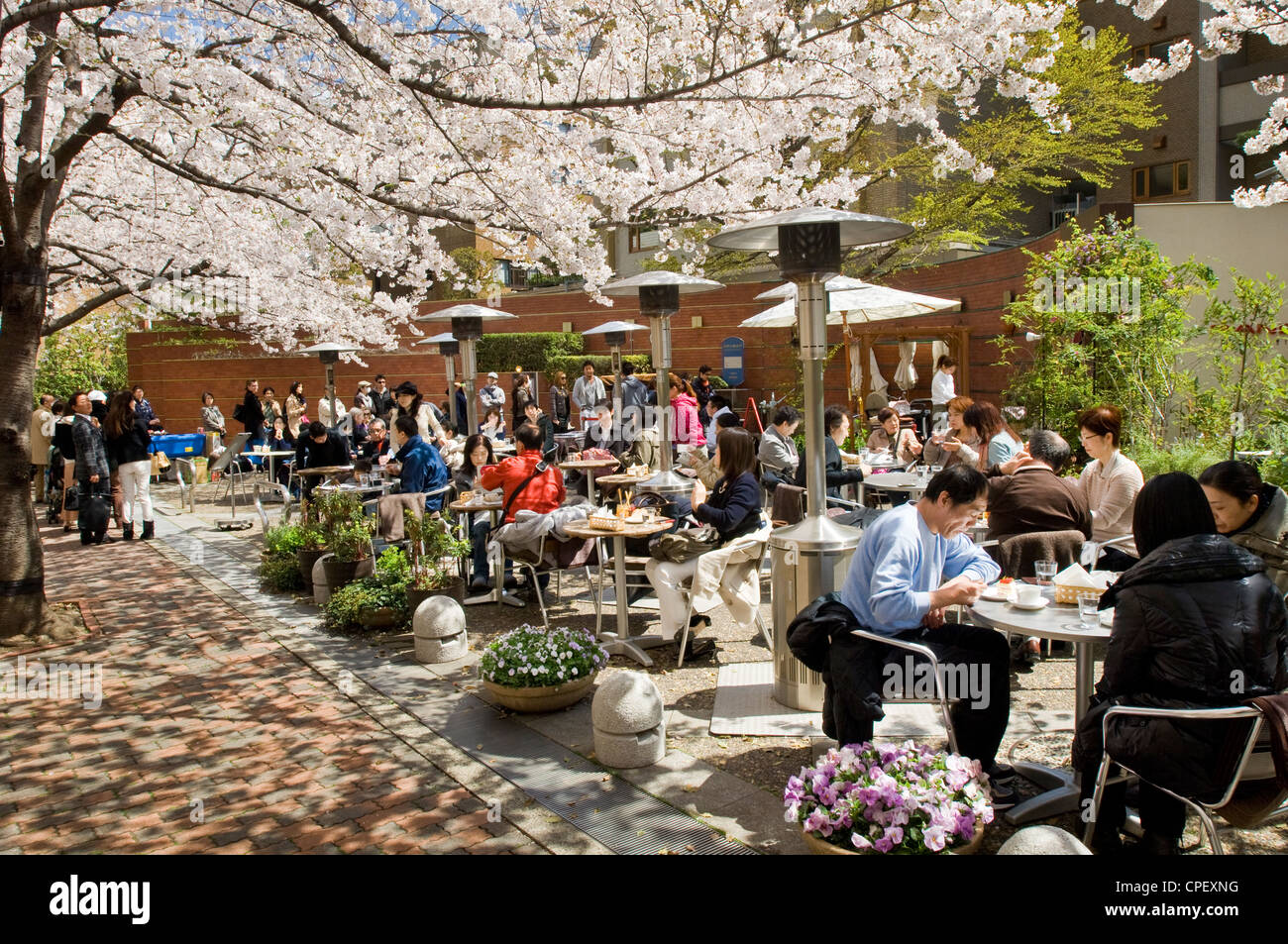 Le persone che si godono il sakura Cherry Blossoms in corrispondenza di un cafe' all'aperto nel centro di Tokyo, Giappone Foto Stock