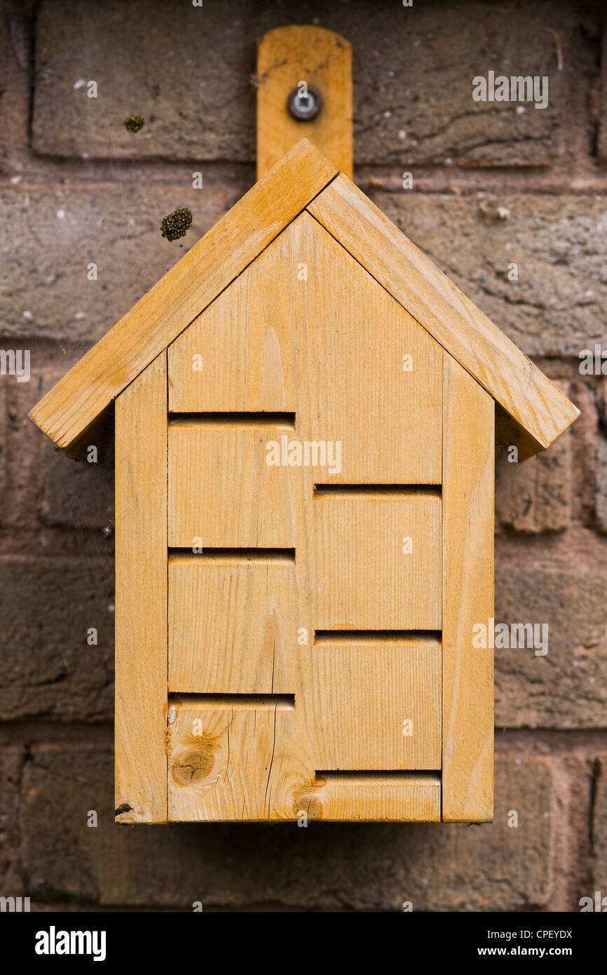 Farfalla in legno per la casa delle farfalle di svernamento su un muro di mattoni. Foto Stock