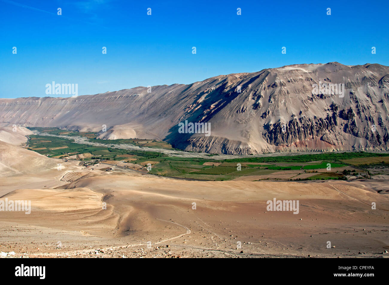 Fertile Valle Lluta Cile settentrionale Foto Stock