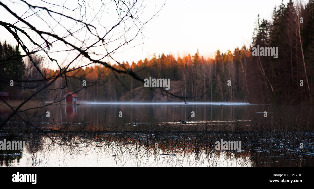 Calma acqua di lago shot in Finlandia, Vihti Foto Stock