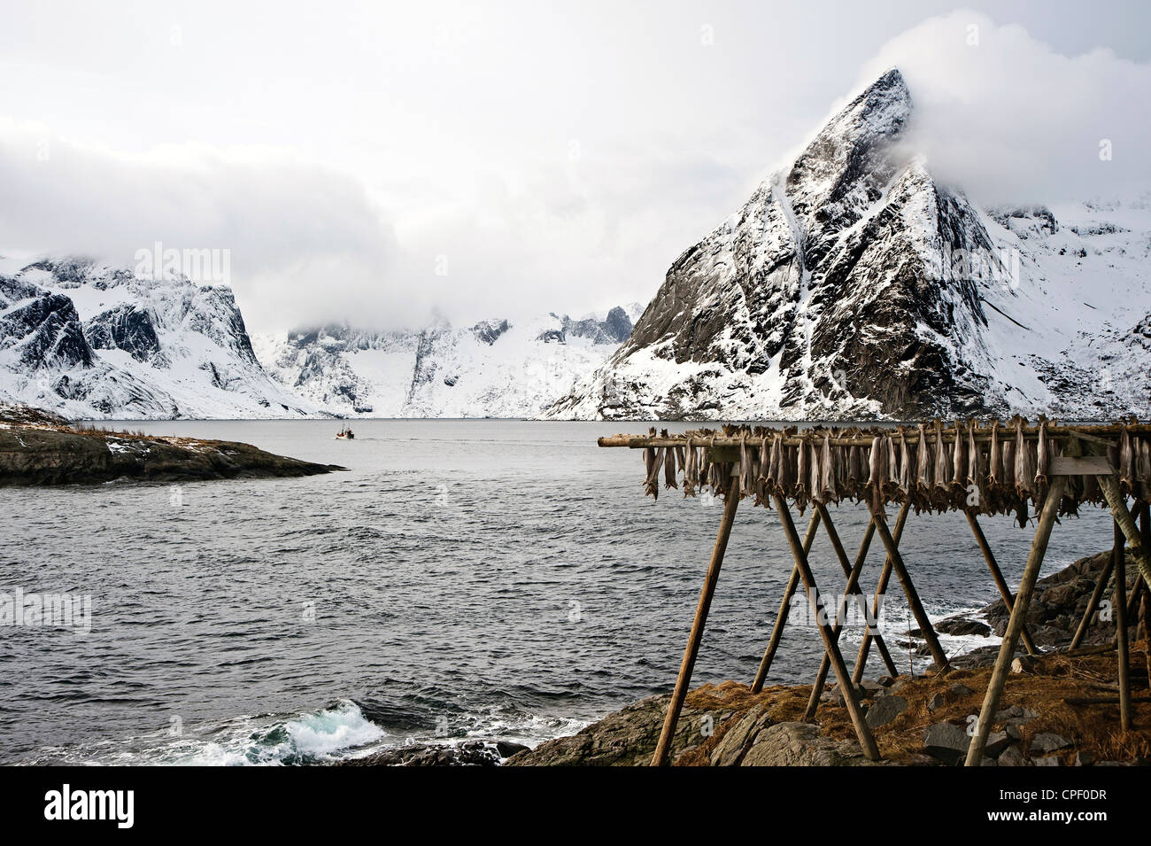 Stock di pesci appesi ad asciugare su cremagliere vicino Hamnoy sulle Isole Lofoten con la montagna di Olstind in background Foto Stock