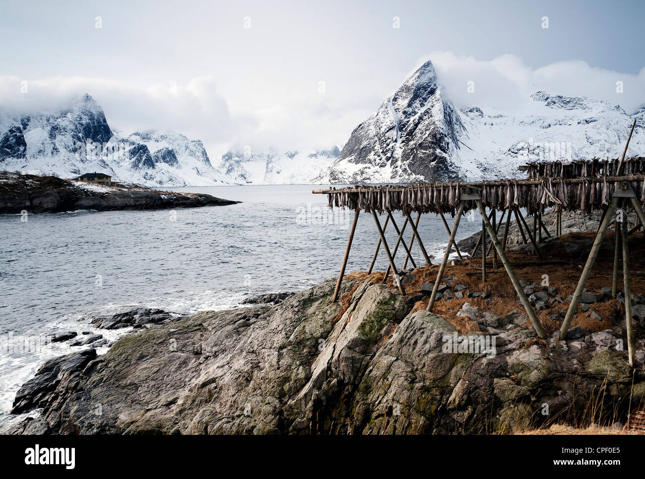 Stock di pesci appesi ad asciugare su cremagliere vicino Hamnoy sulle Isole Lofoten con la montagna di Olstind in background Foto Stock