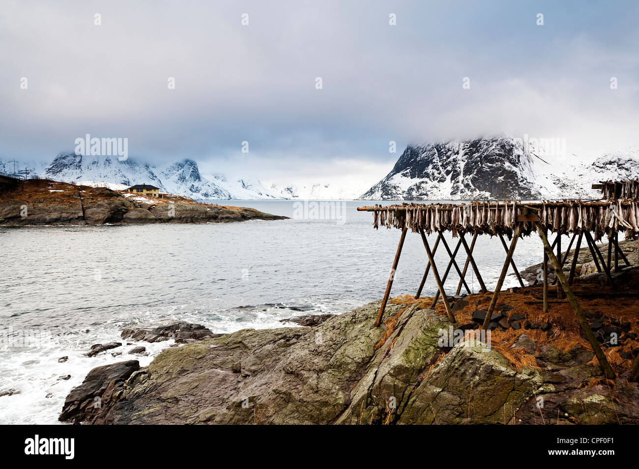 Stock di pesci appesi ad asciugare su cremagliere vicino Hamnoy sulle Isole Lofoten con la montagna di Olstind in background Foto Stock