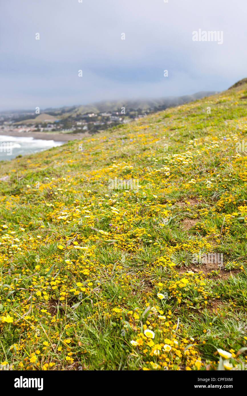 Vista della California Hillside Foto Stock