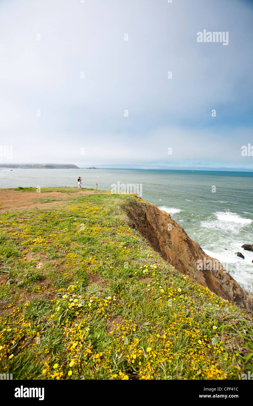 Oceano California Foto Stock