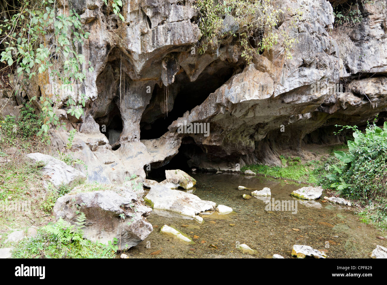 Una piccola grotta di pietra calcarea con la sua brook nelle vicinanze di Muang Ngoi Neua (Laos). Une petite grotte calcaire et son ruisseau. Foto Stock