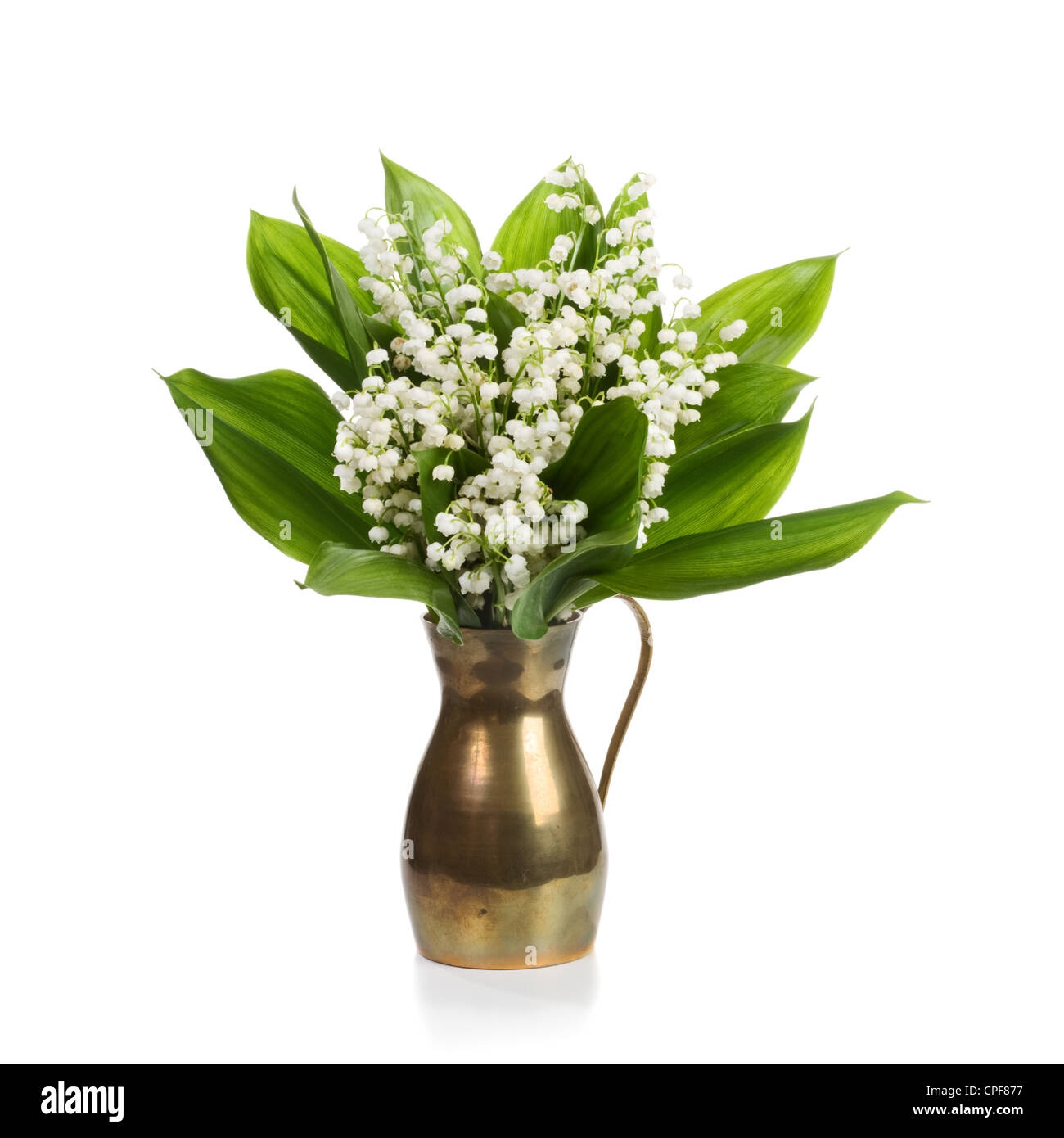 Il vecchio cooper brocca con Lilly fiori su sfondo bianco Foto Stock