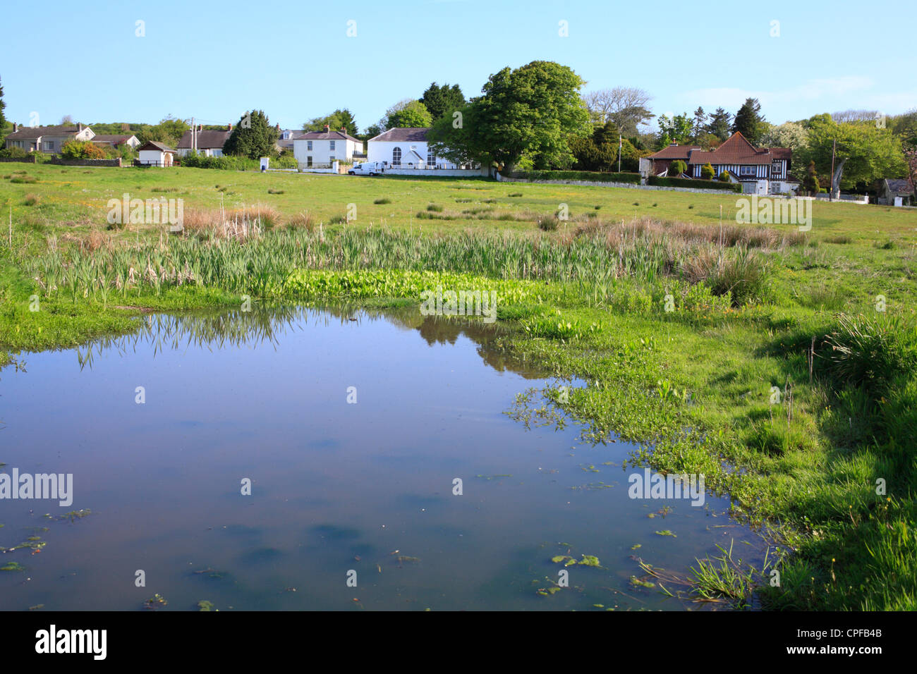 Villaggio Verde con un laghetto. Burry verde, il Gower, Galles. Foto Stock
