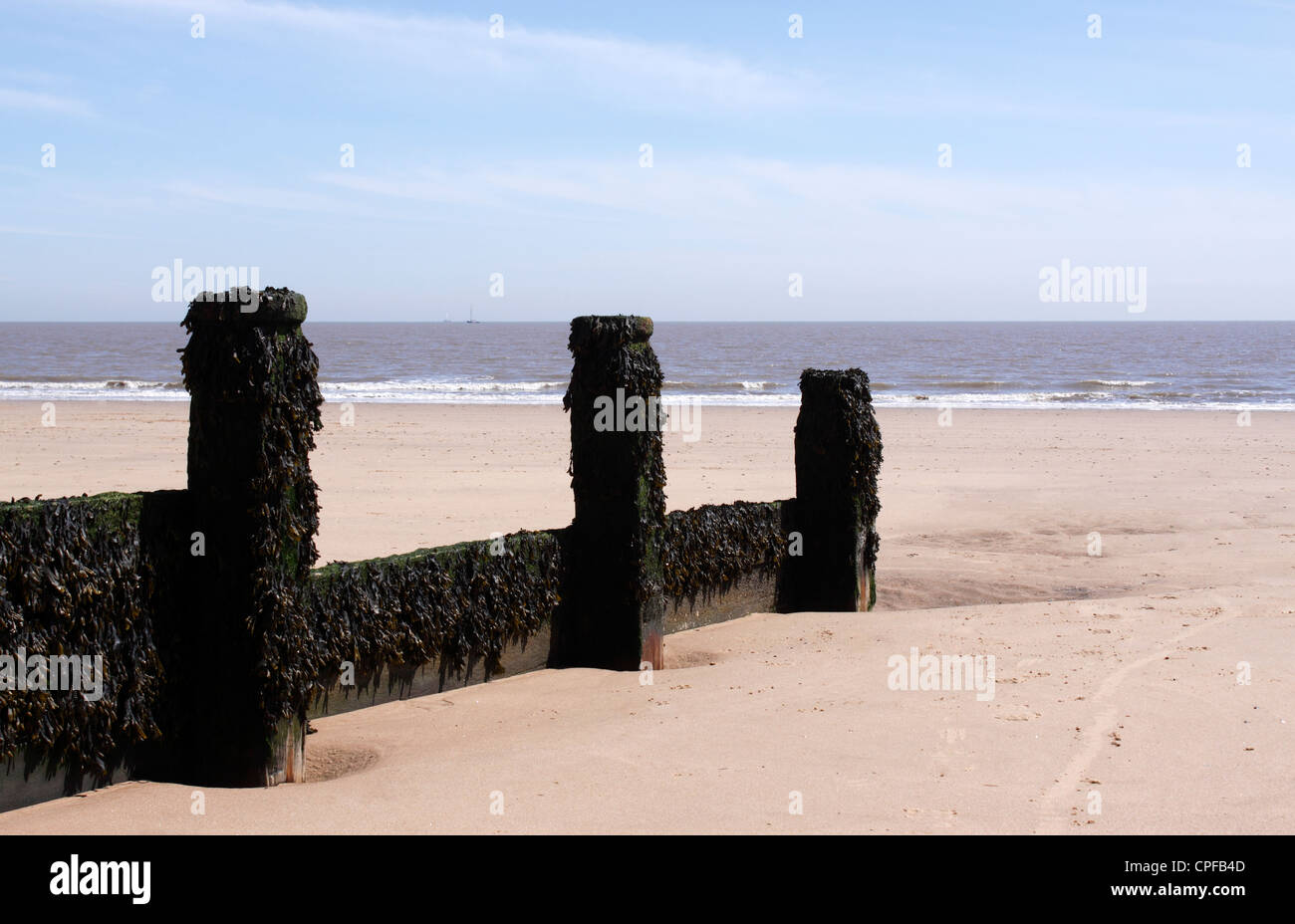Un frangiflutti in legno su un vuoto di spiaggia sabbiosa. Foto Stock