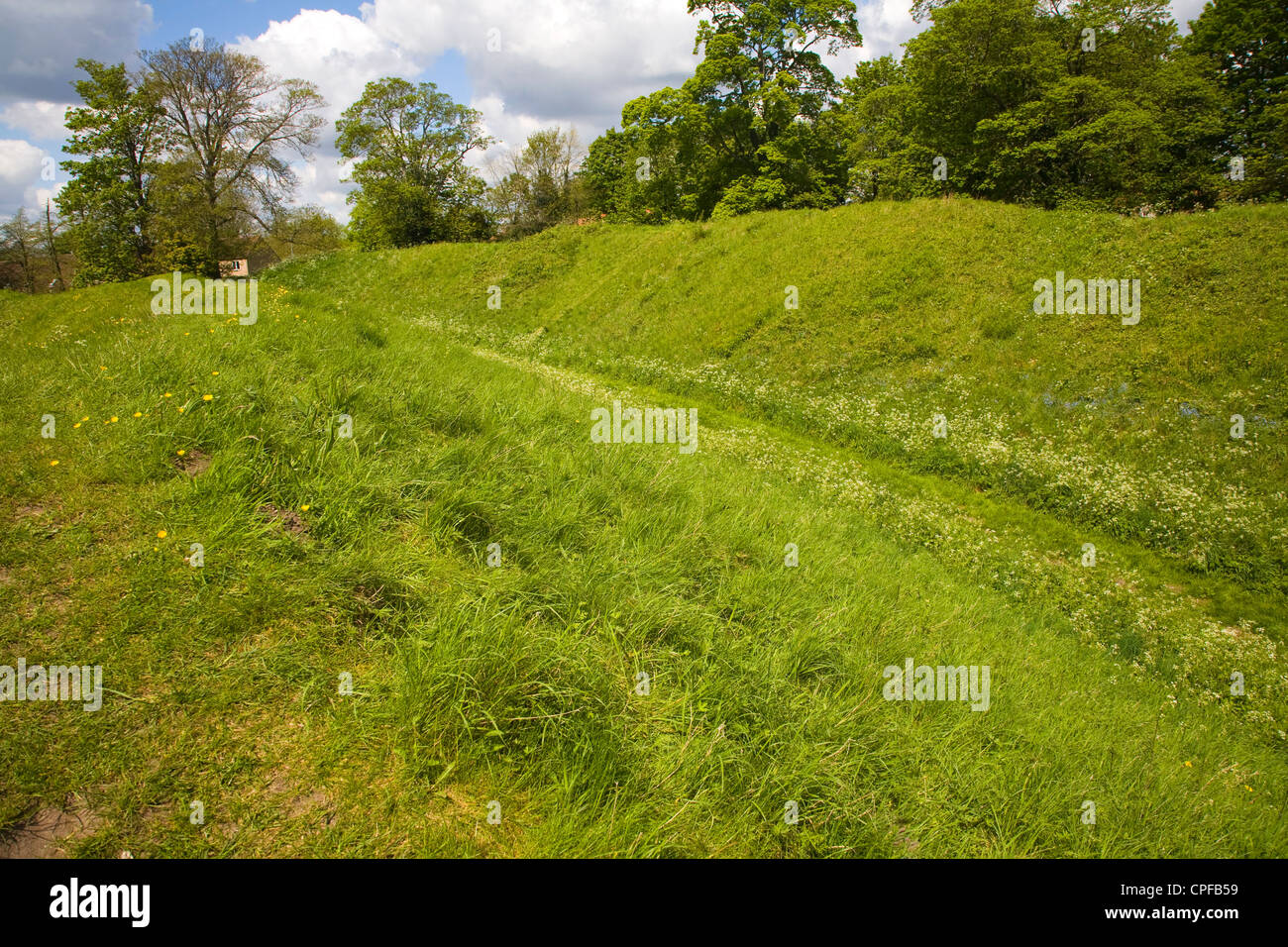 Sterri preistorici banche Castle Hill Thetford Norfolk Inghilterra Foto Stock