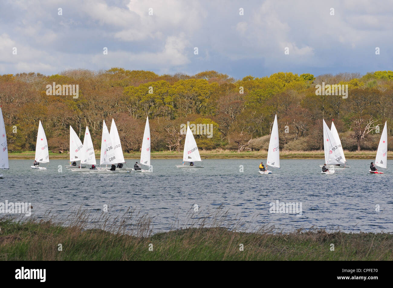 Dinghy racing nel porto di Chichester. Foto Stock