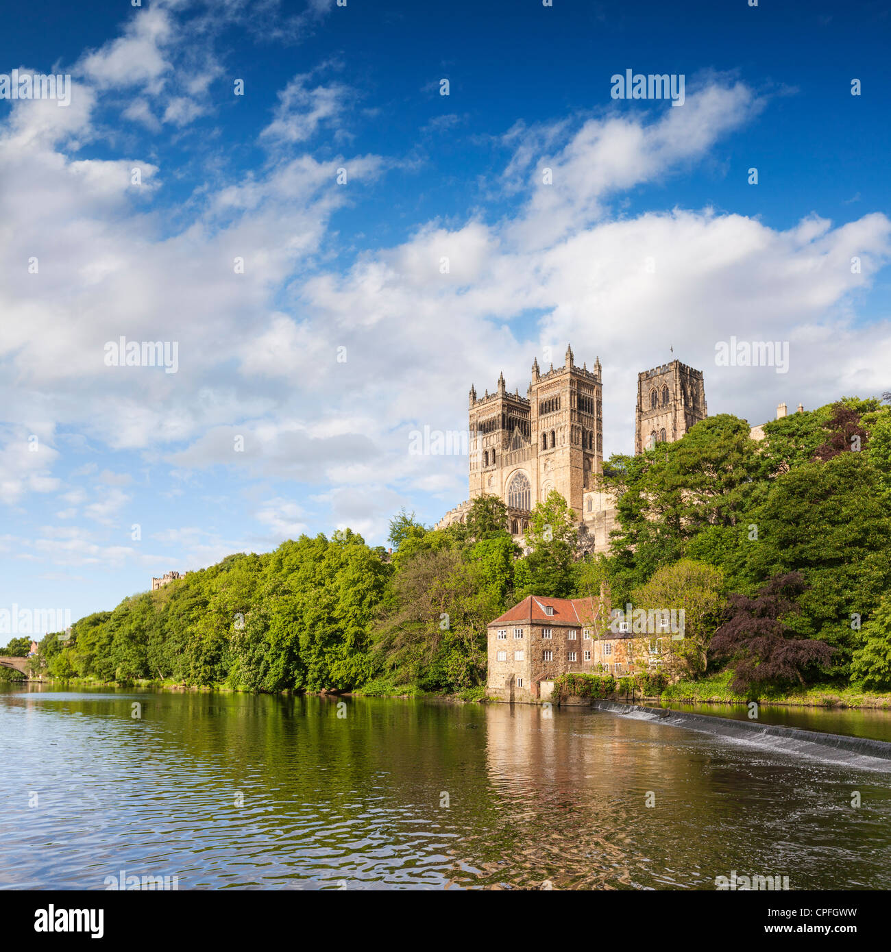 La Cattedrale di Durham, sul suo sperone roccioso sopra il fiume usura, nella contea di Durham, Inghilterra. Foto Stock