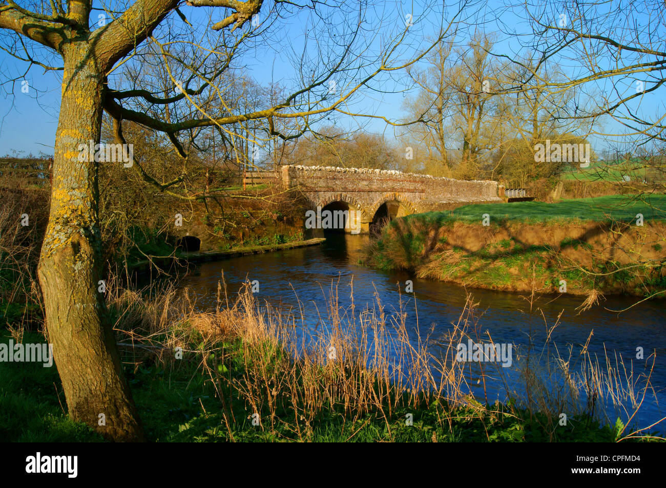 UK,Devon,Vicino Axminster,Ginestra Bridge & River Ax Foto Stock