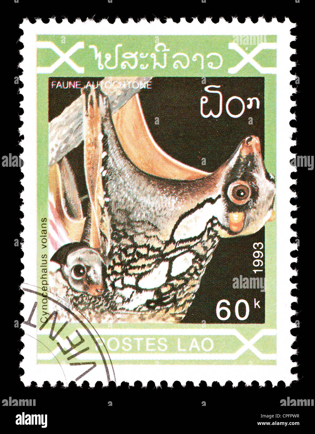 Francobollo dal Laos raffigurante un filippino lemuri volanti (Cynocephalus volans) Foto Stock