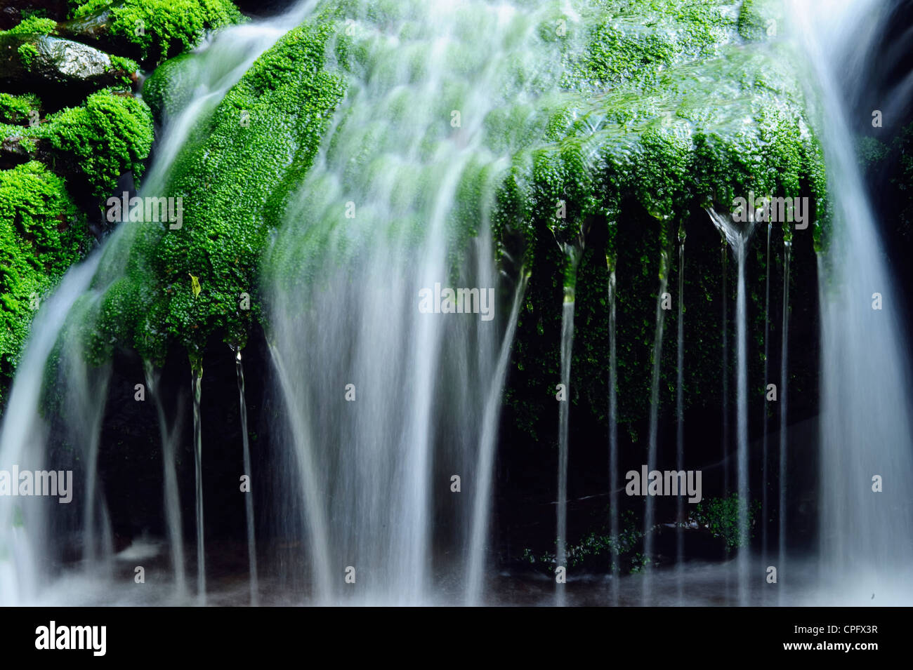 Cascata in nero Clough nella foresta di Bowland Lancashire Inghilterra Foto Stock