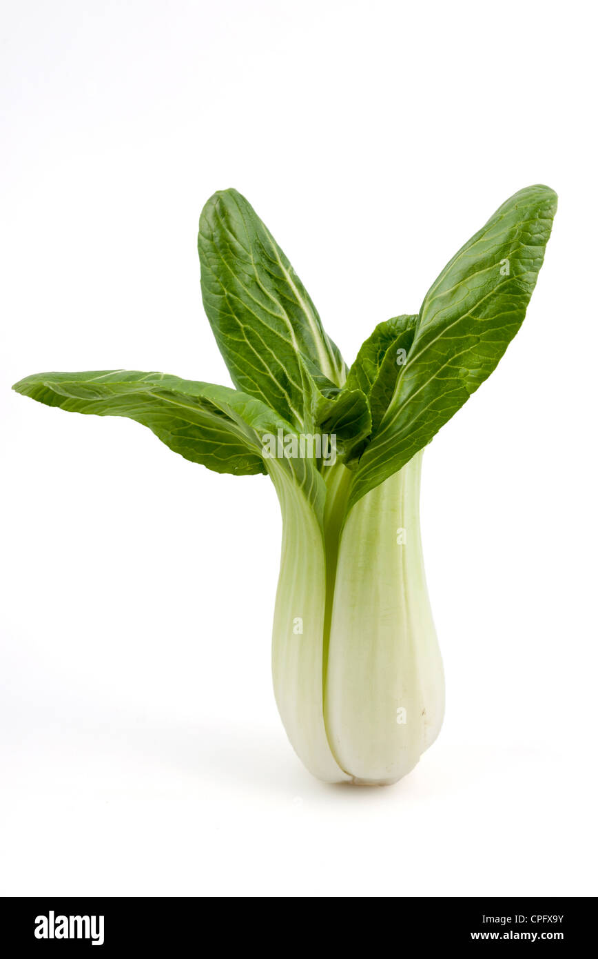 pak choi Foto Stock