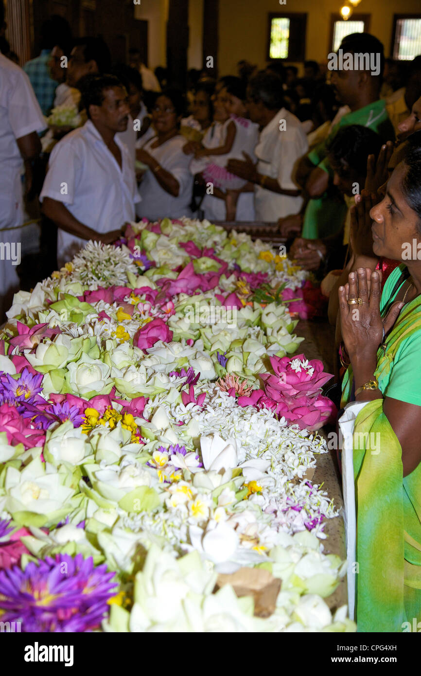 Preghiere e offerte di loto, Tempio della Reliquia del Sacro dente o Sri Dalada Maligawa, Kandy, Sri Lanka Foto Stock