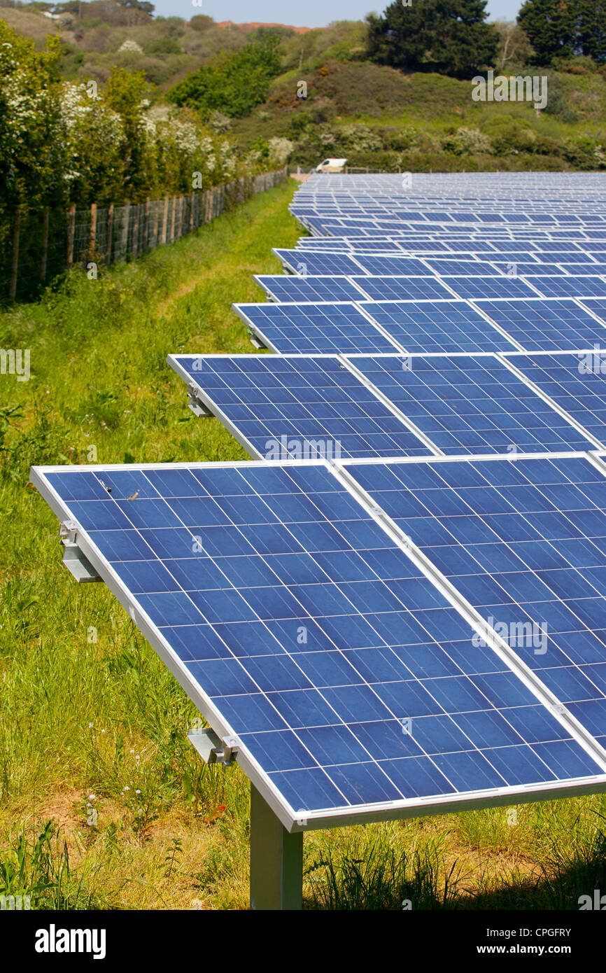 Attivismo, alternative, energie, energia Solar Farm Pannelli solari  Blackwater Newport Isola di Wight Inghilterra Foto stock - Alamy