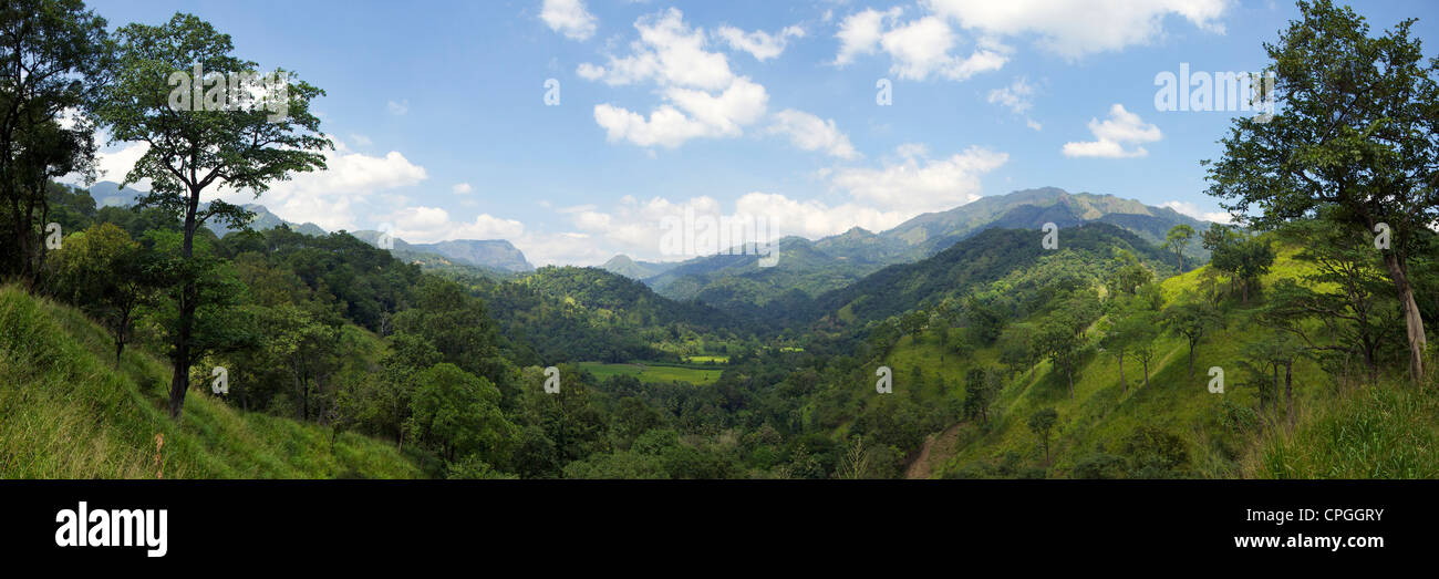 Foto panoramica del paese collinare vicino a Ella, Sri Lanka, Asia Foto Stock