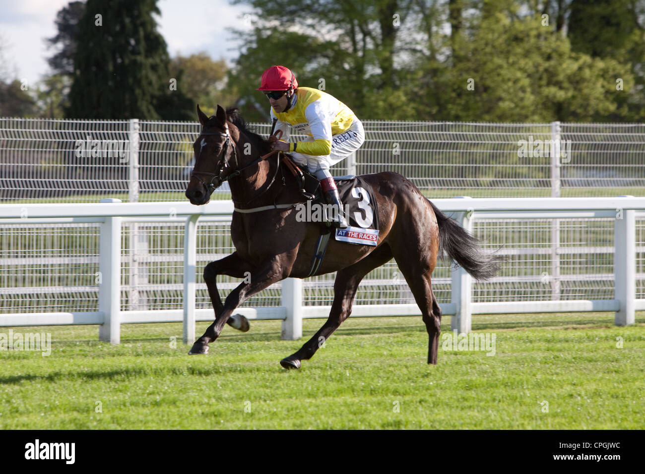 Un cavallo al galoppo all'inizio a Ascot Racecourse Foto Stock