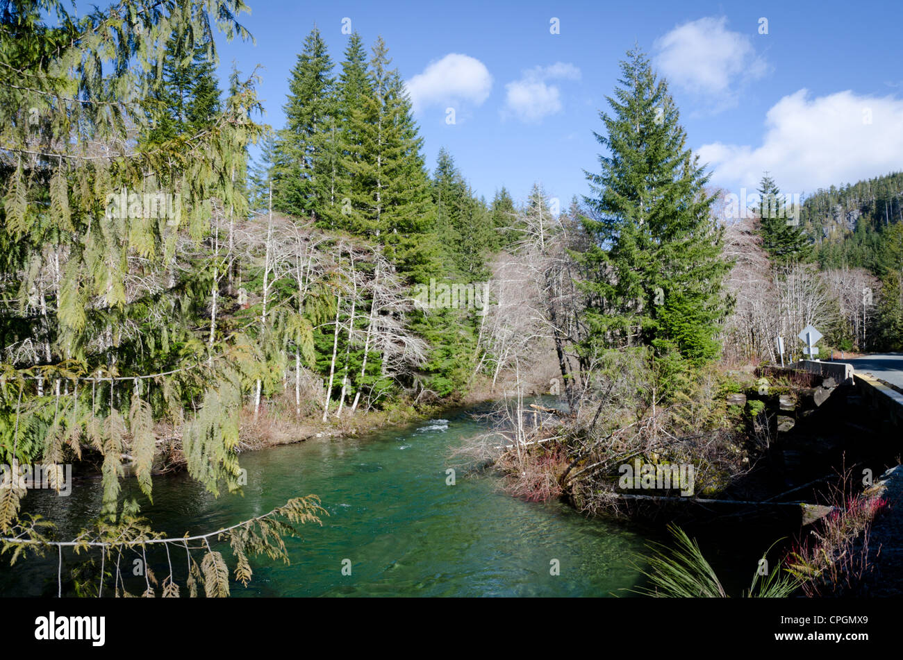 Harris Creek, l'isola di Vancouver, BC, Canada Foto Stock