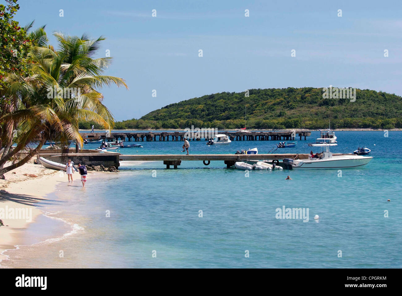 PUERTO RICO - VIEQUES Esperanza Beach Foto Stock