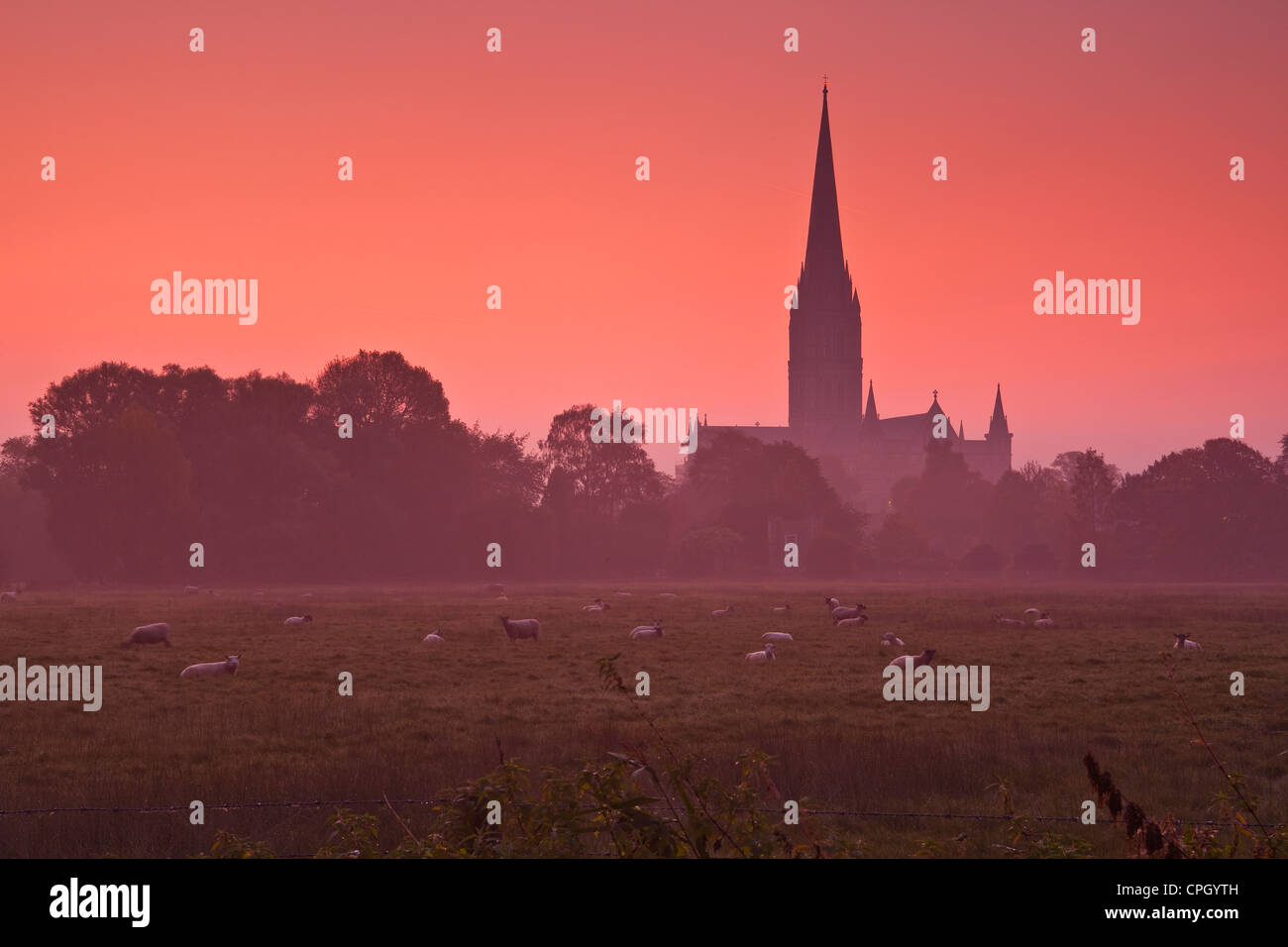 Le prime luci dell alba illumina la cattedrale di Salisbury e i prati dell'acqua. Foto Stock