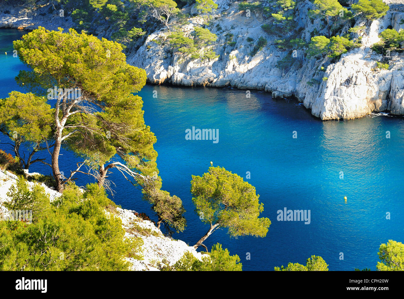 Calanques di Port pin in Cassis in Francia nei pressi di Marsiglia Foto Stock