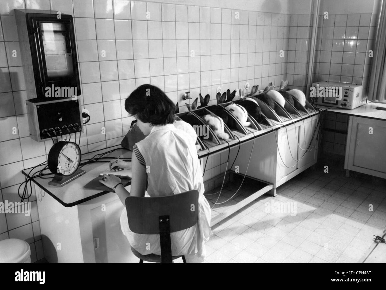 Medicina, laboratorio, conigli durante un test, circa anni '60, Additional-Rights-Clearences-non disponibile Foto Stock