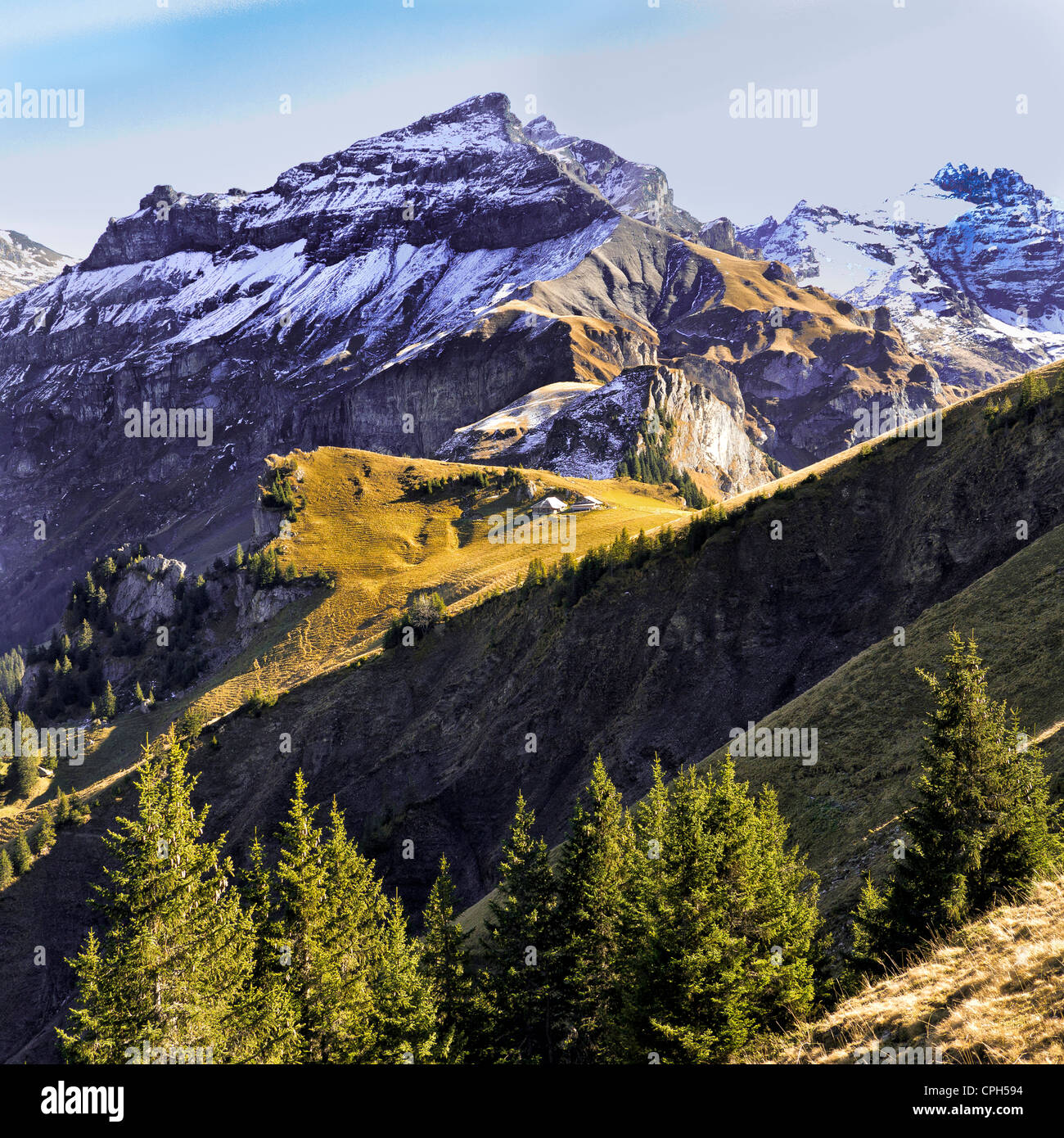 Aabeberg, Alpi mountainscape, scenario di montagna, il paesaggio di montagna, Alpi Bernesi, Oberland bernese, foreste montane, conifere, N Foto Stock