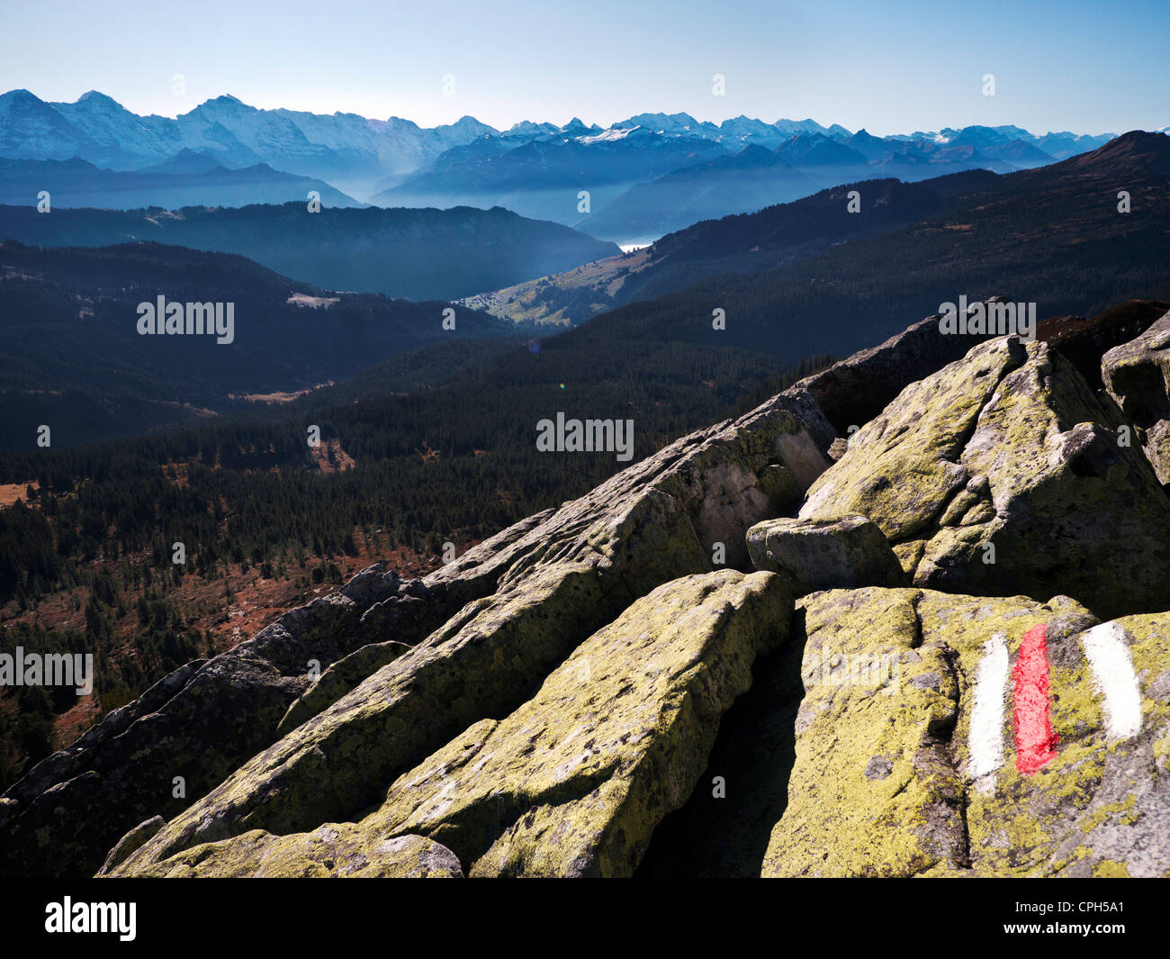 Alpi, Alpi Bernesi, boulder, massi, rock, mountainscape, scenario di montagna, il paesaggio di montagna, Oberland bernese, mountain hik Foto Stock
