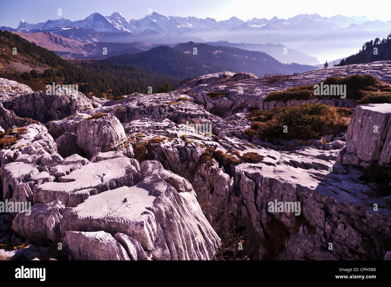 Alpi, montagne alte montagne, mountainscape, scenario di montagna, il paesaggio di montagna, Alpi Bernesi, Oberland bernese, battuta, lim Foto Stock