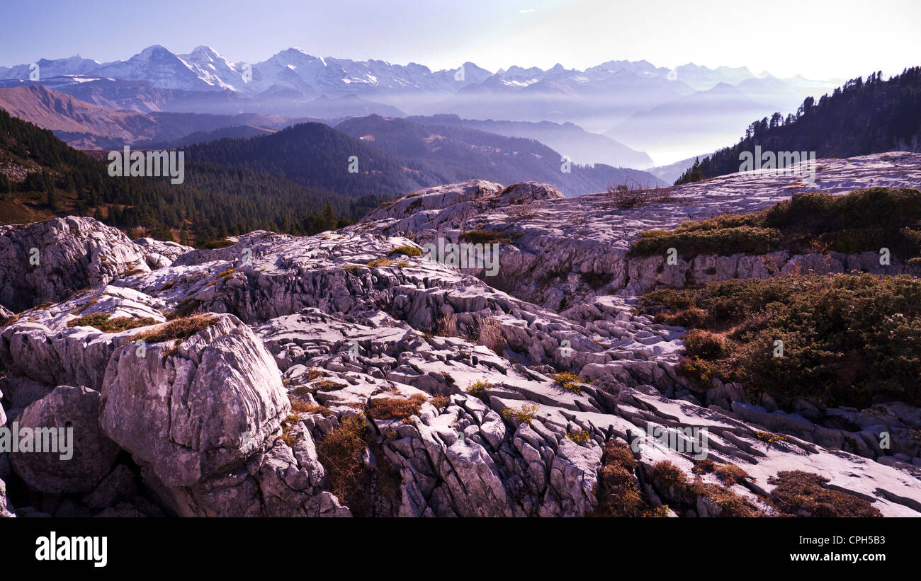 Alpi, montagne alte montagne, mountainscape, scenario di montagna, il paesaggio di montagna, Alpi Bernesi, Oberland bernese, battuta, lim Foto Stock