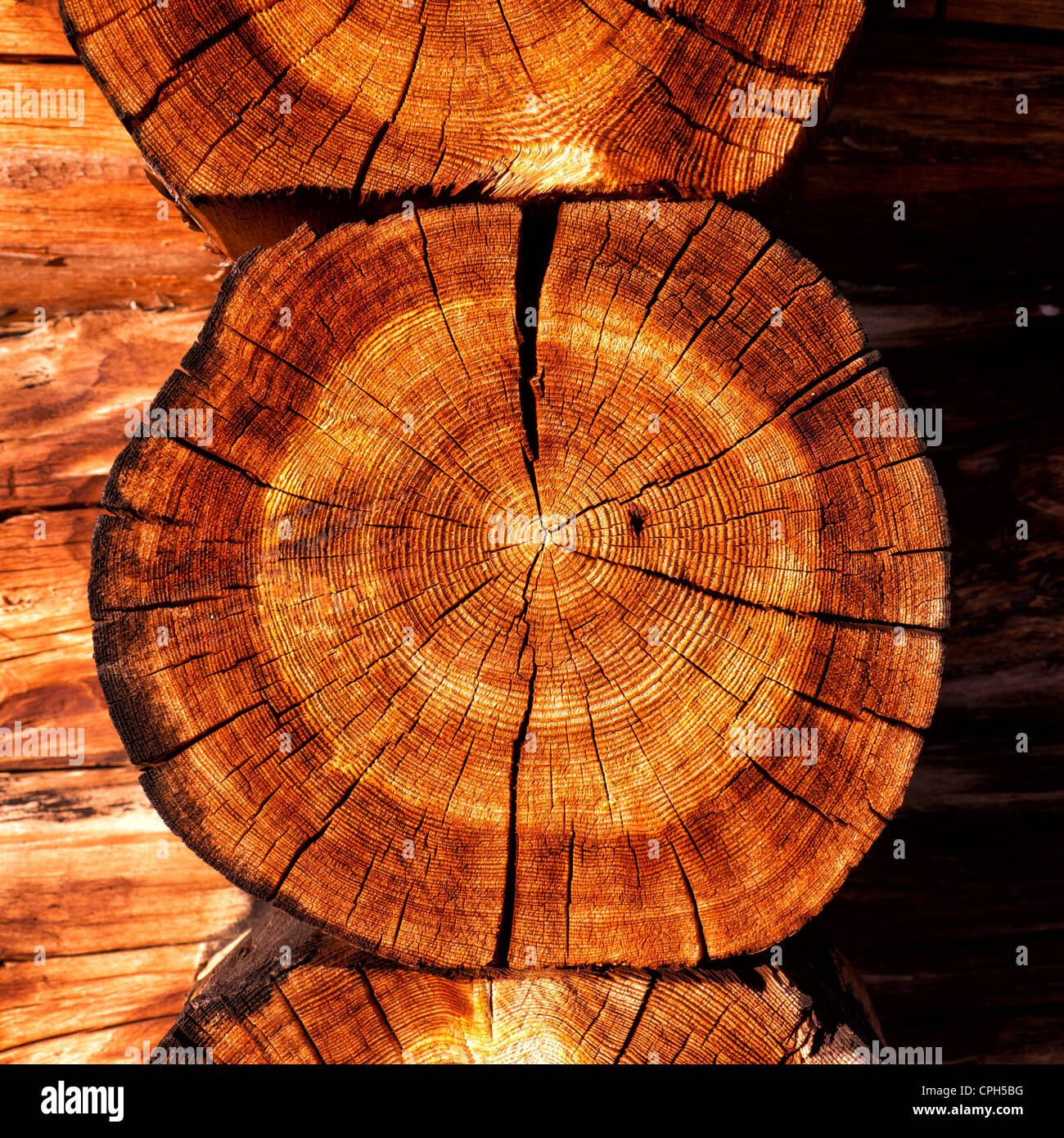 Alpi, log cabin, log house, fortino, blocco house, stalla, legno, legname, legno abete, picea abies, Bernes Alpi, Foto Stock