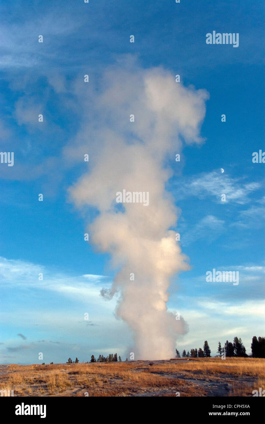 Geyser Old Faithful, Yellowstone, parco nazionale, Wyoming, geyser, primavera calda, natura, STATI UNITI D'AMERICA, Stati Uniti, America, Foto Stock