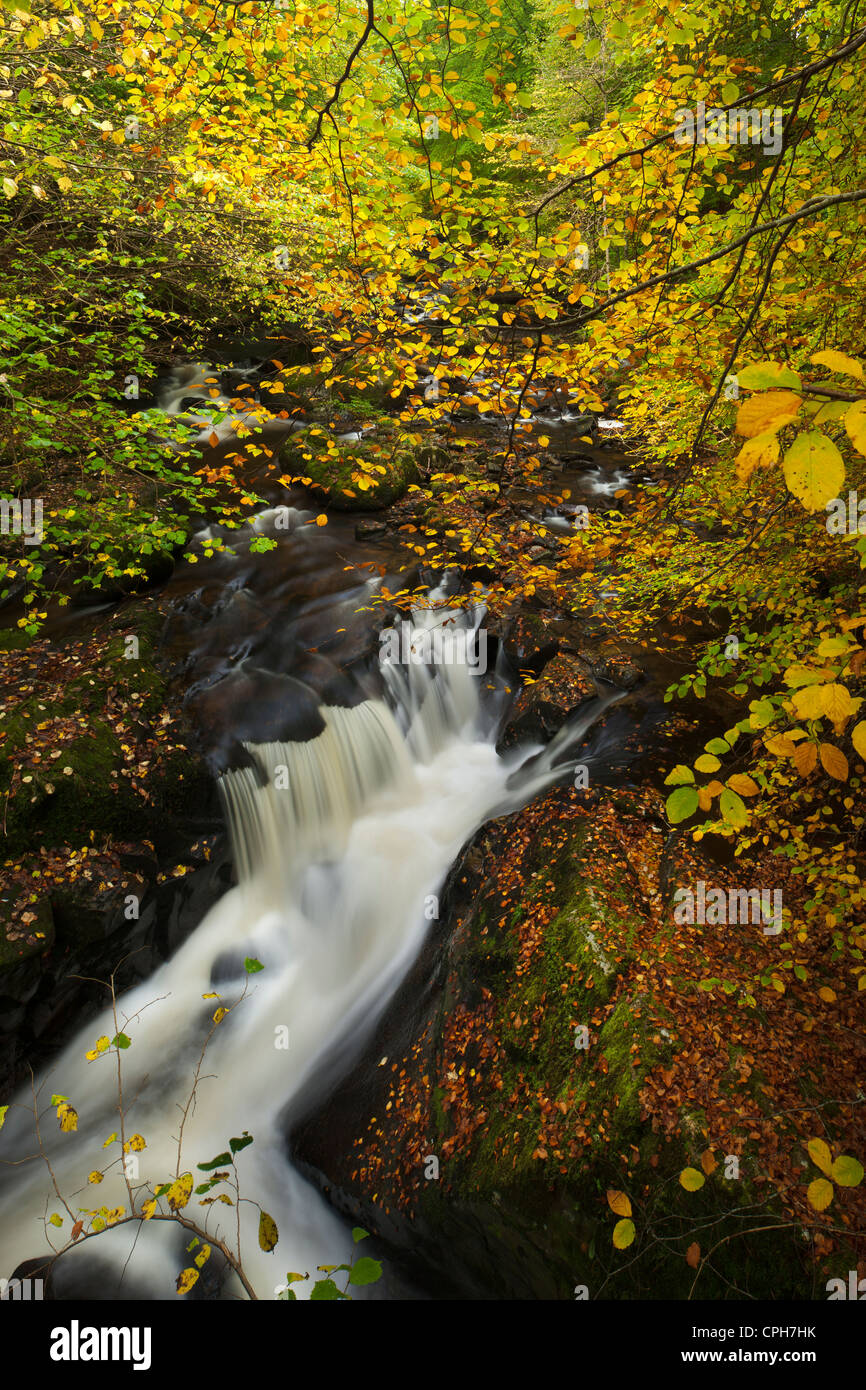 La Birks di Aberfeldy, Perthshire Scozia Scotland Foto Stock
