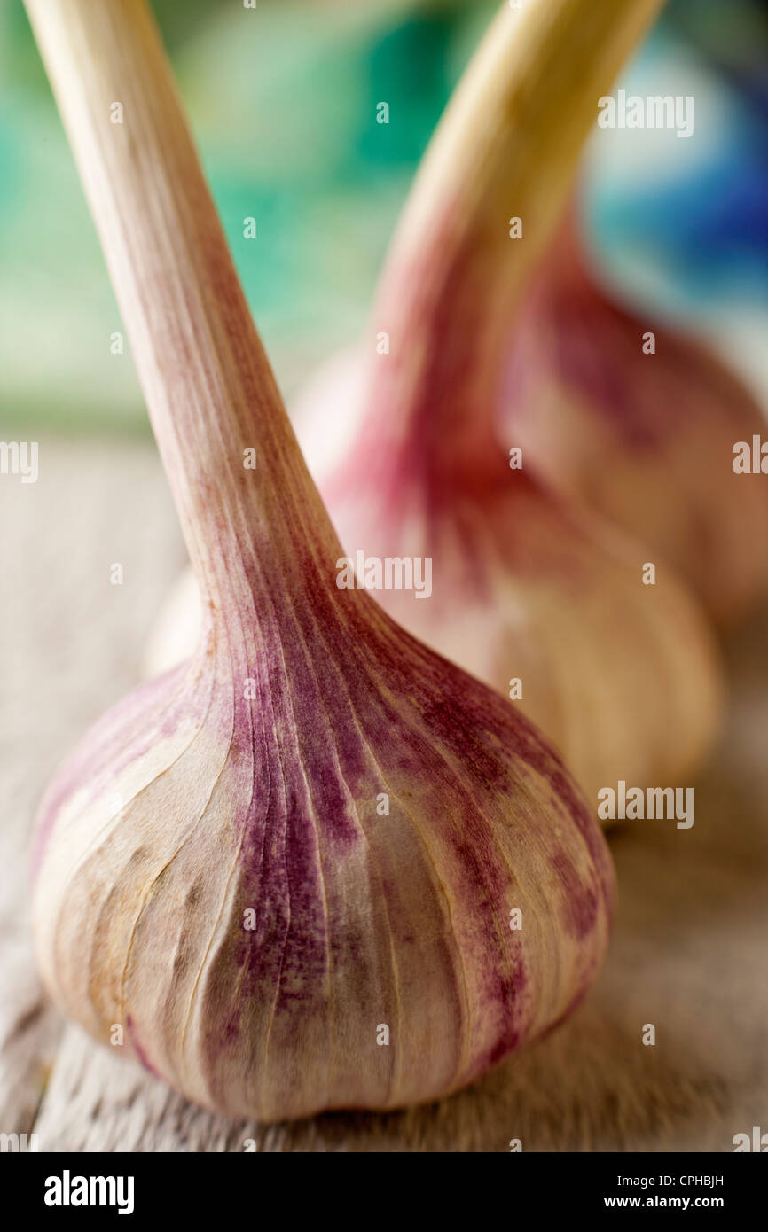 Ancora la vita di close-up di bulbi di aglio Foto Stock
