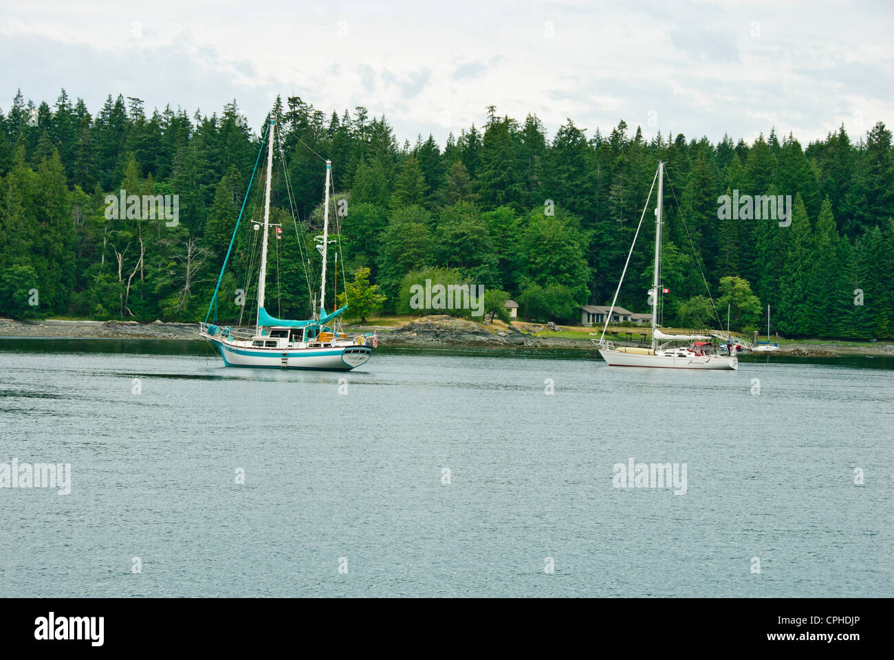 La pesca del salmone,aprile punto,Quadra Island,famoso Chinook la pesca al salmone, Campbell River,l'isola di Vancouver, British Columbia, Canada Foto Stock