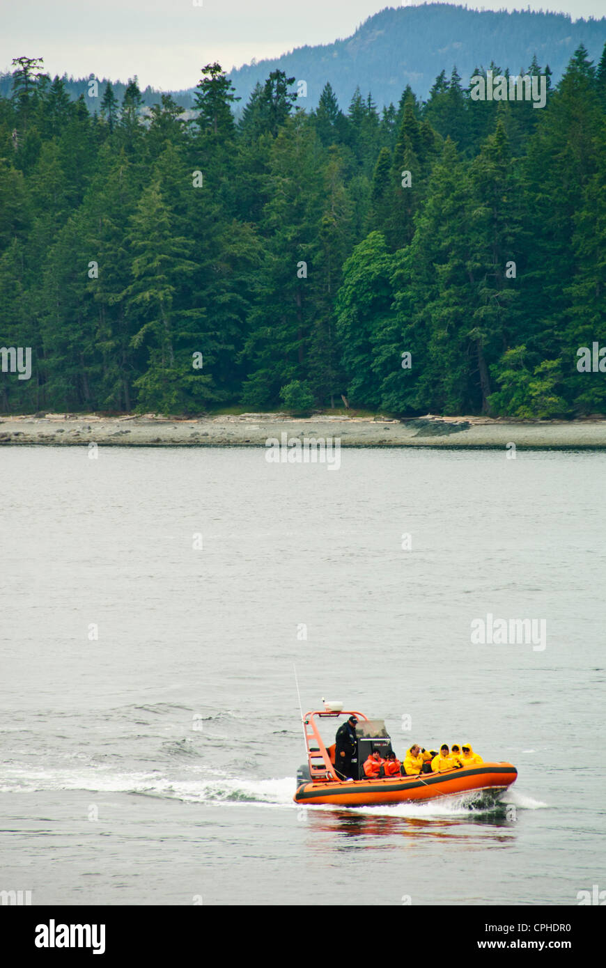 La pesca del salmone,aprile punto,Quadra Island,famoso Chinook la pesca al salmone, Campbell River,l'isola di Vancouver, British Columbia, Canada Foto Stock