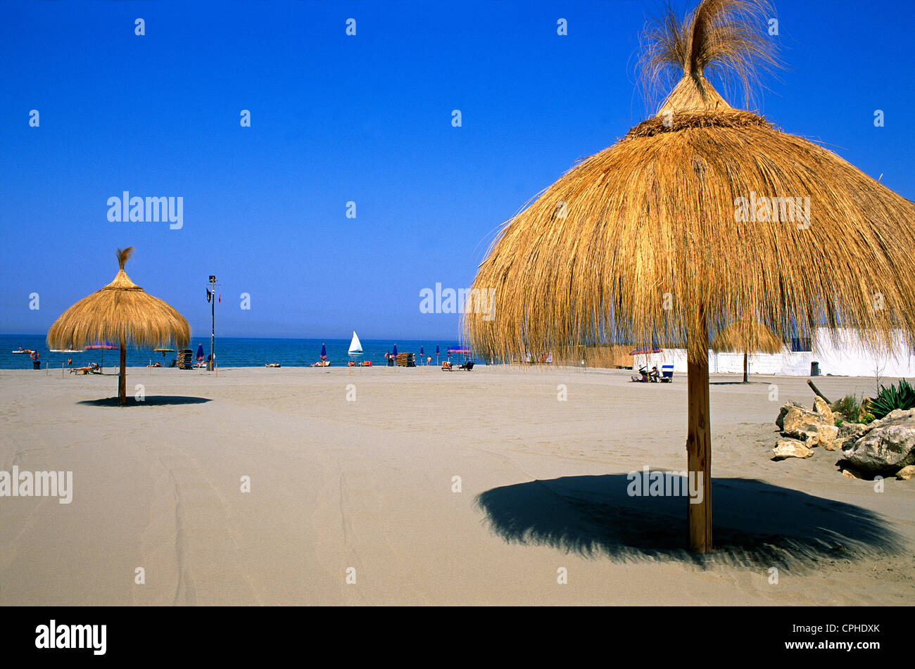 Mastino Stabilimento Balneare Fregene, Roma, lazio, Italy Foto Stock