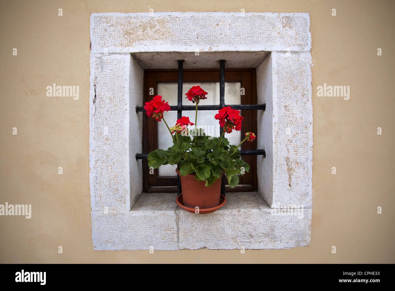 vecchia finestra carsica con un fiore Foto Stock