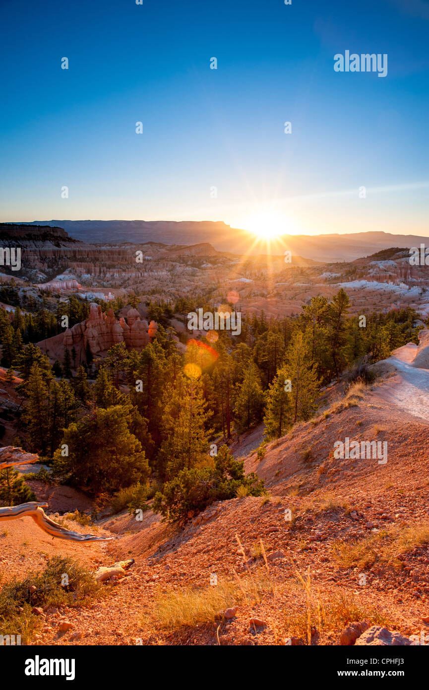 Sunrise nel parco nazionale di Bryce Canyon, Utah, Stati Uniti d'America Foto Stock